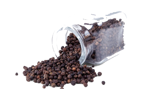 organic white pepper from sri lanka organic black pepper from sri lanka leading quality organic spices cinnamon exporters from sri lanka